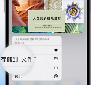 涡阳apple维修中心分享iPhone文件应用中存储和找到下载文件