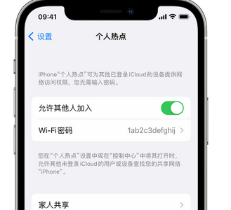 涡阳apple服务站点分享iPhone上个人热点丢失了怎么办 