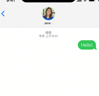 涡阳apple维修iPhone上无法正常发送iMessage信息