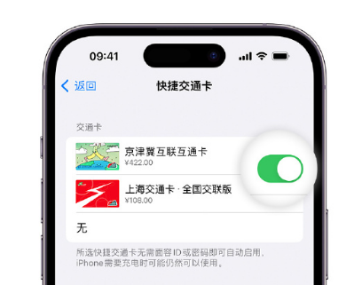 涡阳apple维修点分享iPhone上更换Apple Pay快捷交通卡手绘卡面 