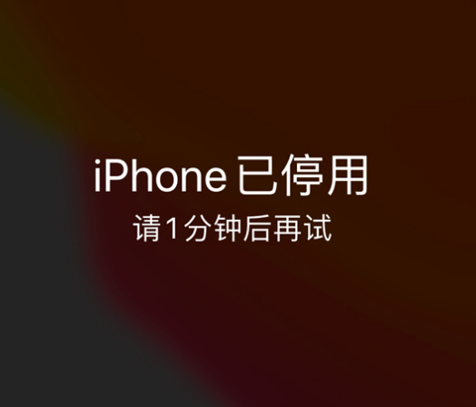 涡阳苹果手机维修分享:iPhone 显示“不可用”或“已停用”怎么办？还能保留数据吗？ 