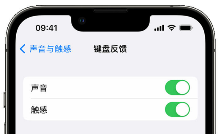 涡阳苹果手机维修分享iPhone 14触感键盘使用方法 