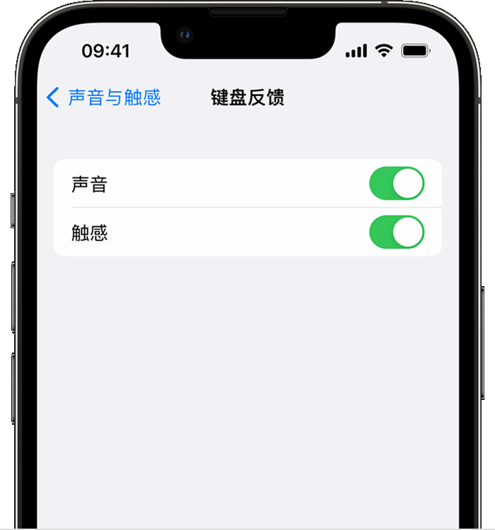 涡阳苹果14维修店分享如何在 iPhone 14 机型中使用触感键盘 