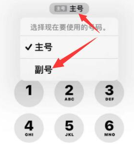 涡阳苹果14维修店分享iPhone 14 Pro Max使用副卡打电话的方法 