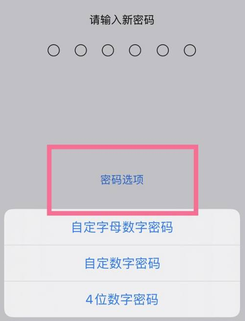 涡阳苹果14维修分享iPhone 14plus设置密码的方法 