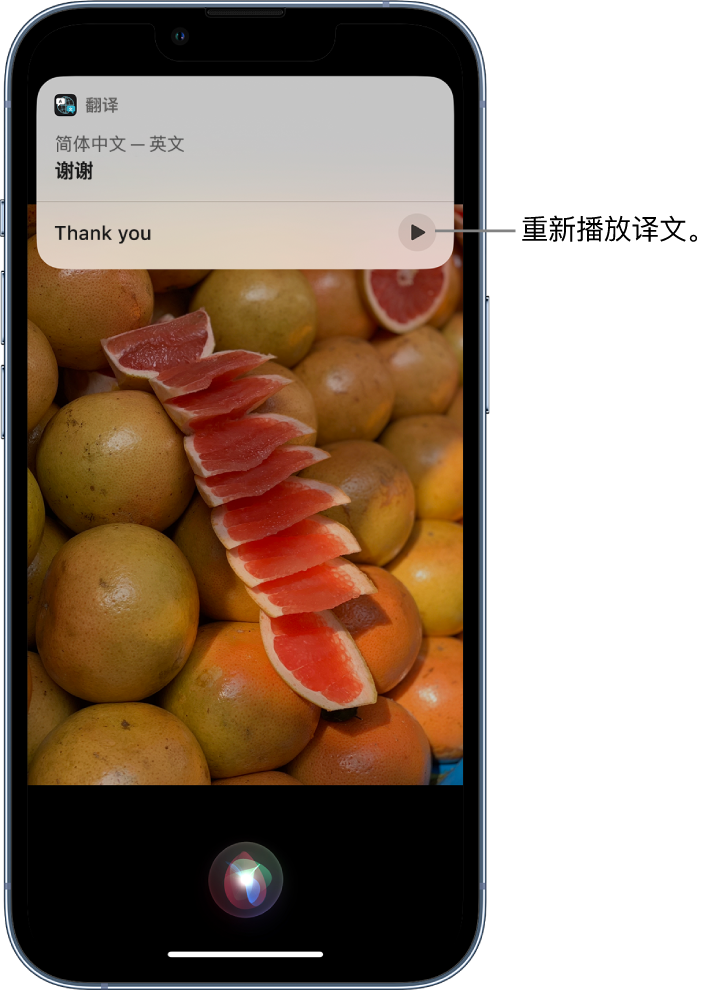 涡阳苹果14维修分享 iPhone 14 机型中使用 Siri：了解 Siri 能帮你做什么 