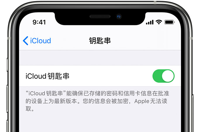 涡阳苹果手机维修分享在 iPhone 上开启 iCloud 钥匙串之后会储存哪些信息 