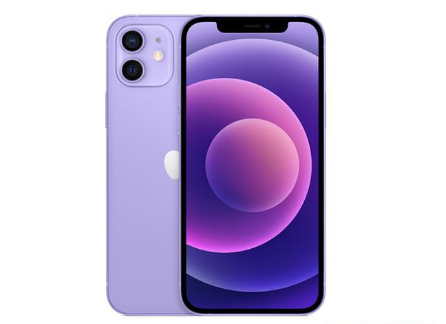 涡阳苹果手机维修分享现阶段要不要入手紫色版iPhone12 