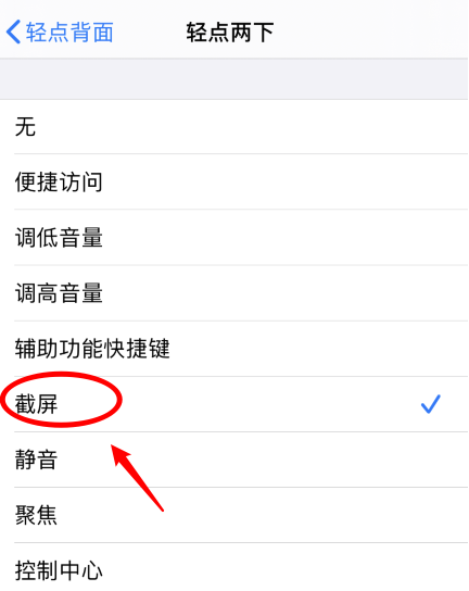 涡阳苹果手机维修分享iPhone12如何启用双击截屏 
